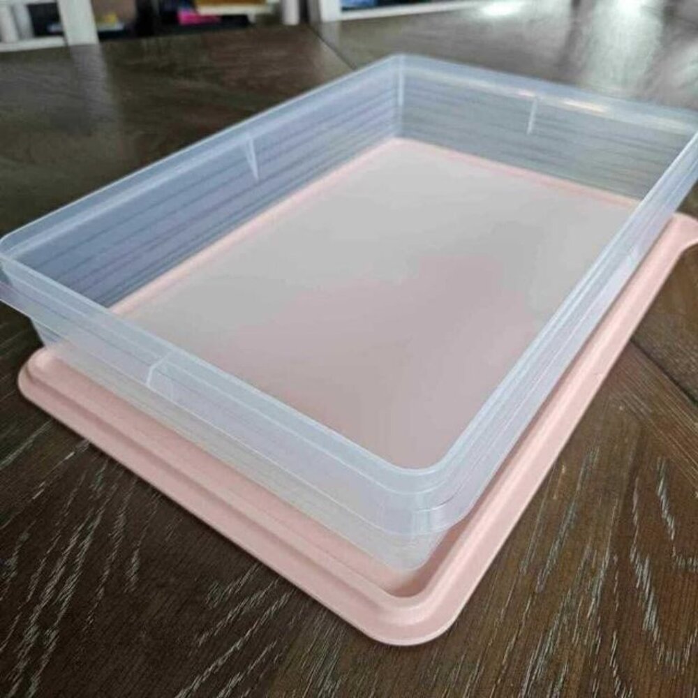 Tupperware Brand Snack-Store Large Rectangular Food Storage Container Peach Seal - Picture 3 of 4